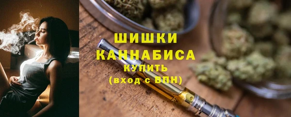 шишки Белоозёрский