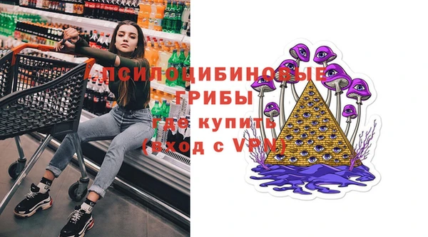 шишки Белоозёрский