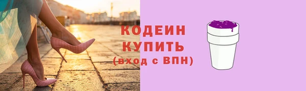 шишки Белоозёрский