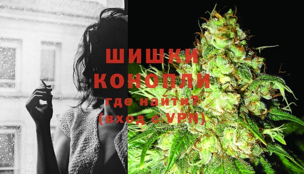 шишки Белоозёрский
