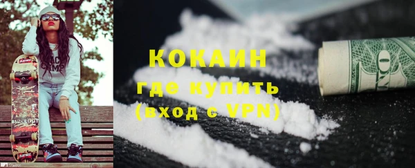 шишки Белоозёрский