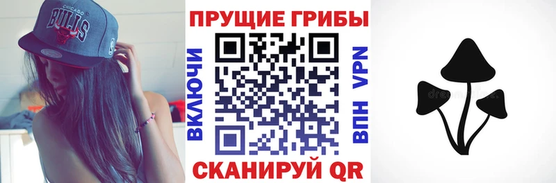 дарнет шоп  Вязьма  blacksprut зеркало  Псилоцибиновые грибы MAGIC MUSHROOMS 