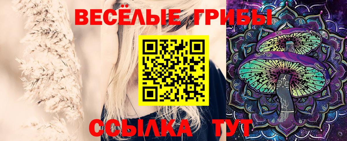 Псилоцибиновые грибы Psilocybe  Вход с VPN  Вязьма 