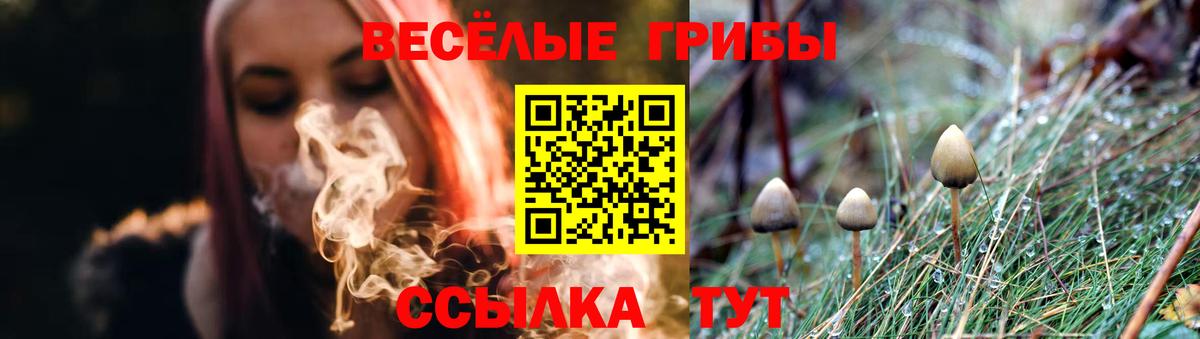 Псилоцибиновые грибы прущие грибы Вязьма